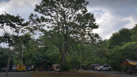 충주 천등산캠핑장