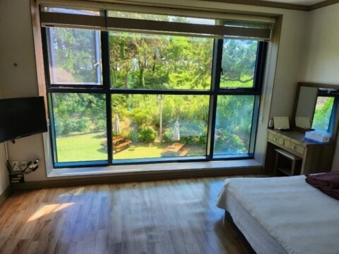 완도 카사엘리오