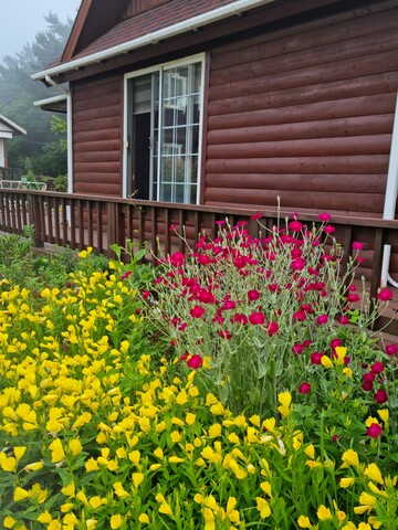 옹진(백령도) 힐링