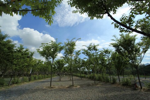 영월 큐브존캠핑펜션