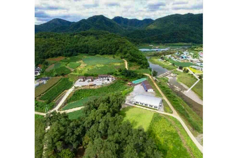 영월 하늘샘펜션 휴양마을