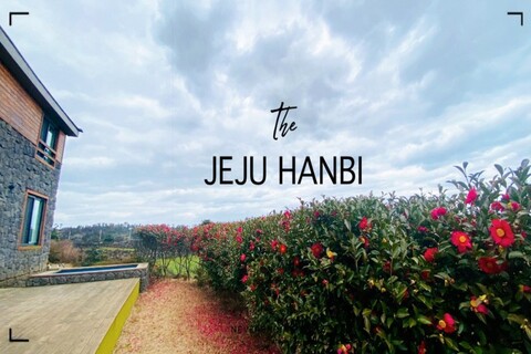 제주 한비독채펜션