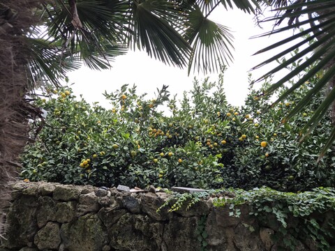 서귀포 포트에비뉴펜션