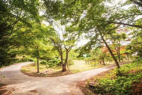 태안 나무향기펜션