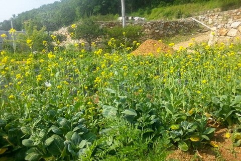 양주 장흥힐링펜션