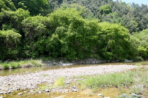 홍천 더편한펜션