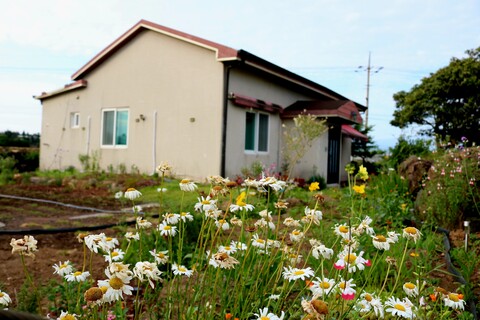 서귀포 스테이마농