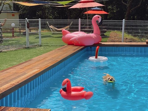 서산 펫앤트리글램핑