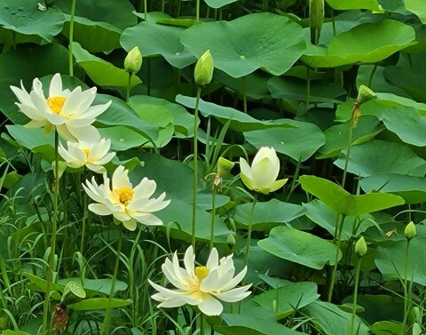 양평 모세골황토방펜션