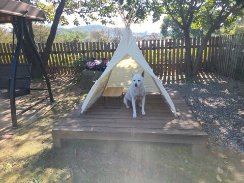 포천 부엉이애견펜션