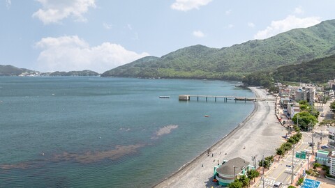 거제도 푸조와곰솔애견동반펜션