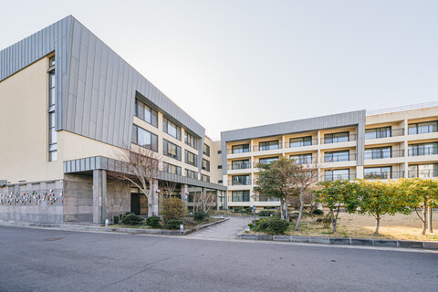 서귀포 일레인 호텔