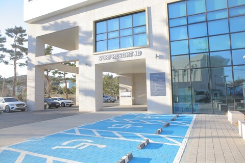 서프리조트 죽도 얼라이브