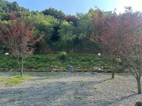 영월 꼬꼬토피아