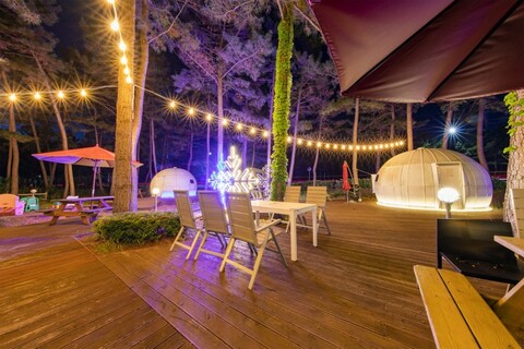 강릉 오란다펜션