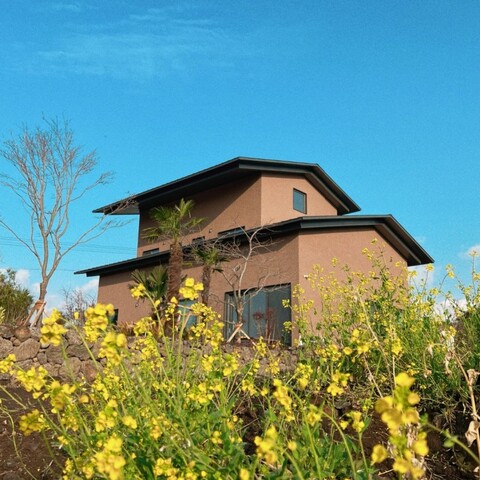 서귀포 위미가 연