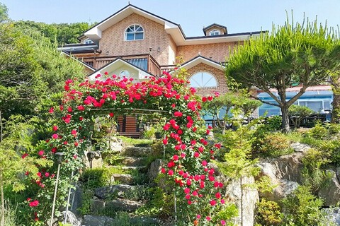 남양주 하비비펜션(축령산휴양림)