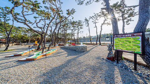 포항 더자리캠핑장