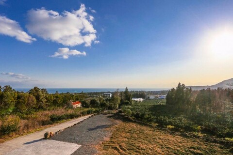 서귀포 중문예촌펜션