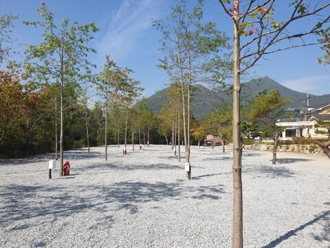 영월 위드힐링캠핑장