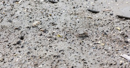 사천 비토섬신우리조트 글램핑N카라반