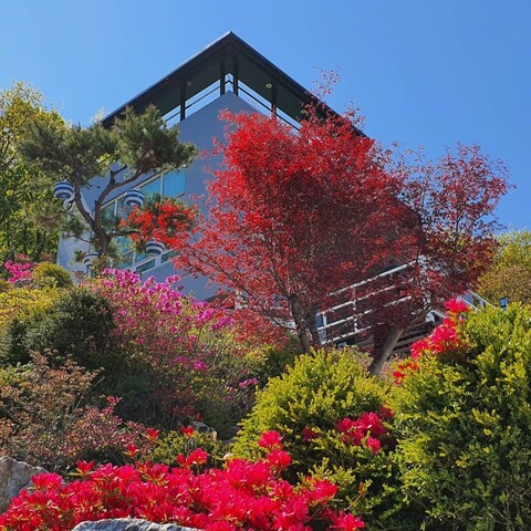 강화도 마음속에그린집펜션