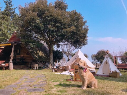 제주 올레낭펜션