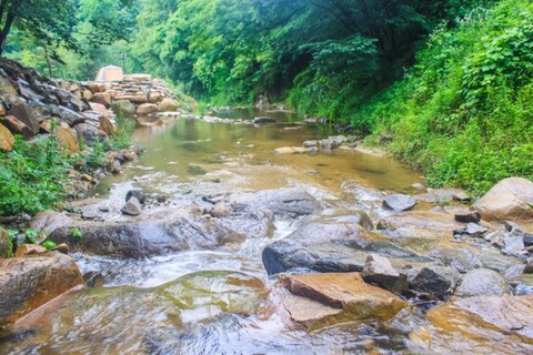 경주 별이야기펜션