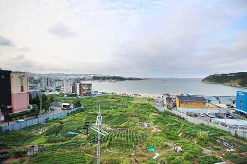 울산 일산 타임