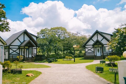 제주 더포레스트애월