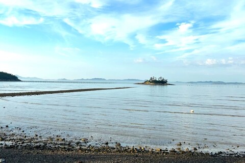 신안 자은의언덕펜션