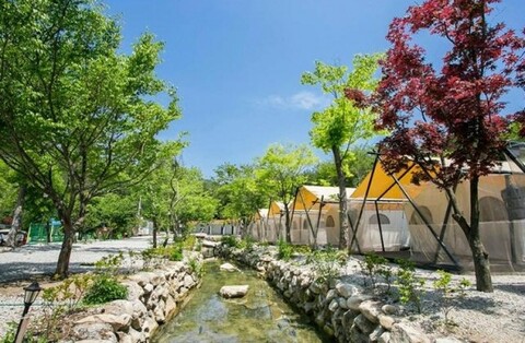 포천 백운오양골캠핑장