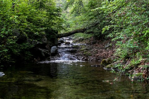 인제 뜨랑밸리펜션