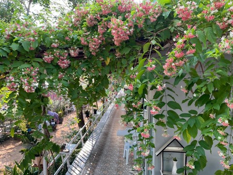 코란의 프라이빗 하우스 (168m², 침실 6개, 프라이빗 욕실 7개)