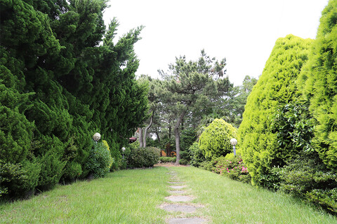 제주 라이트하우스