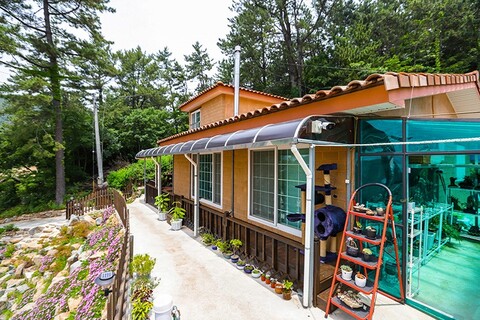 여수 반딧불황토펜션