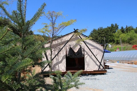 태안(안면도) 아름다운숲펜션