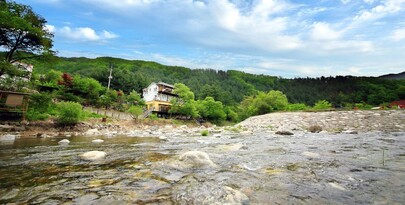 가평 체리쉬애견펜션