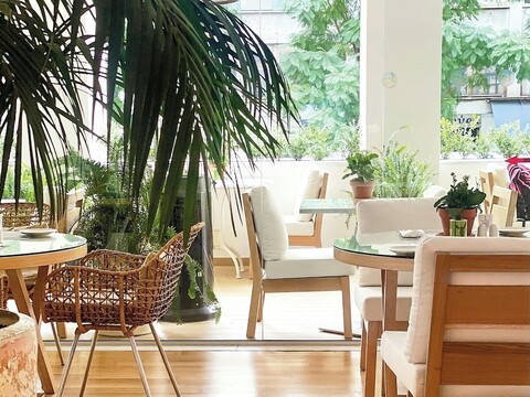 그레코텔 팔라스 아테나