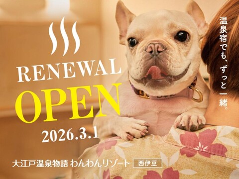 Ooedo Onsen Monogatari Wanwan Resort Nishiizu