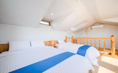 서귀포 토브오션뷰애견동반펜션