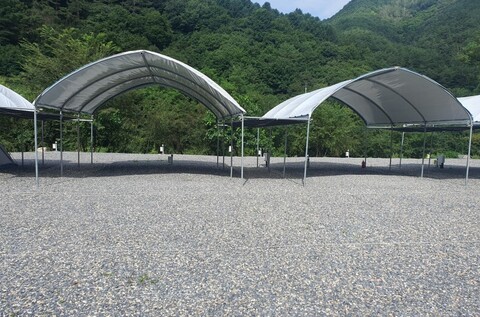 영월 하우스캠핑장