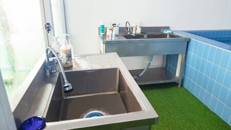 태안(안면도) 퍼피스테이 온수수영장 애견펜션