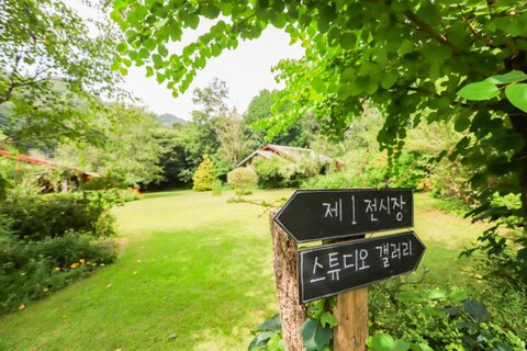 횡성 미술관자작나무숲펜션