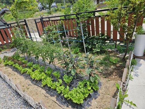 강화도 머물다펜션