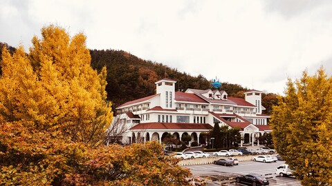 세심천온천호텔