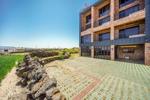 제주 월정씨하루