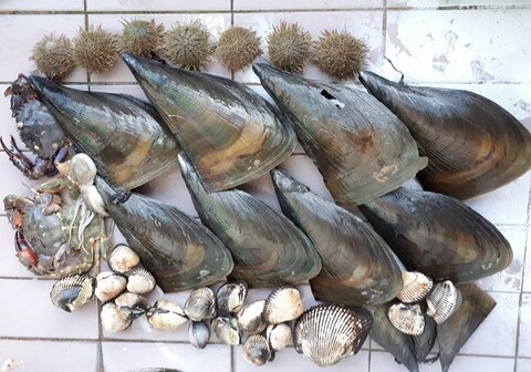 태안(안면도) 행복한테라스펜션