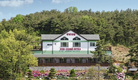 대부도(영흥도) 햇빛정원펜션