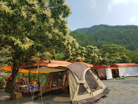 가평 별천지캠핑장